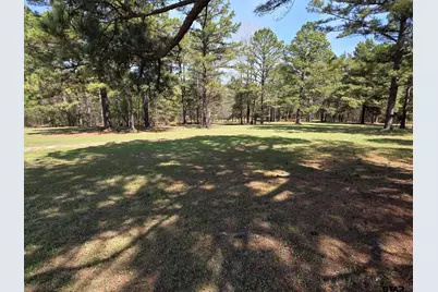 449 Cr 3955, Mineola, TX 75773 - Photo 43