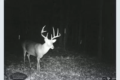 5000 Fm 315 S, Chandler, TX 75758 - Photo 27