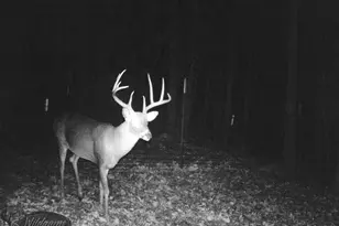 5000 Fm 315 S, Chandler, TX 75758 - Photo 27