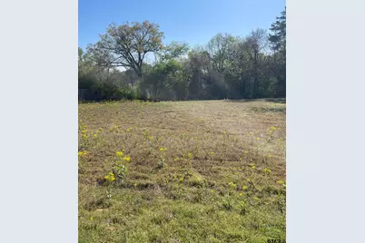 Tbd N Main St, Winnsboro, TX 75494 - Photo 3