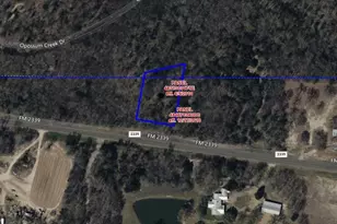 000 Fm 2339, Murchison, TX 75778 - Photo 1