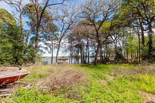 22851 Lakeside Dr, Flint, TX 75762 - Photo 29