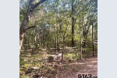Tbd County Road 2880, Mineola, TX 75773 - Photo 27