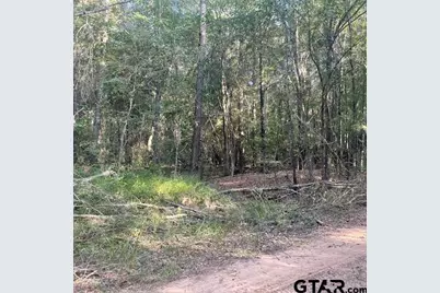 205 County Road 2880, Mineola, TX 75773 - Photo 35