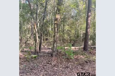 205 County Road 2880, Mineola, TX 75773 - Photo 39