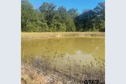 205 County Road 2880, Mineola, TX 75773 - Photo 33