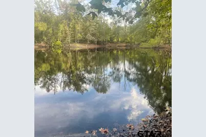 205 County Road 2880, Mineola, TX 75773 - Photo 9