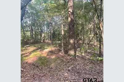 205 County Road 2880, Mineola, TX 75773 - Photo 21