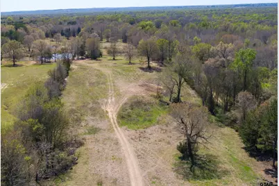 567 County Road 2880, Mineola, TX 75773 - Photo 13