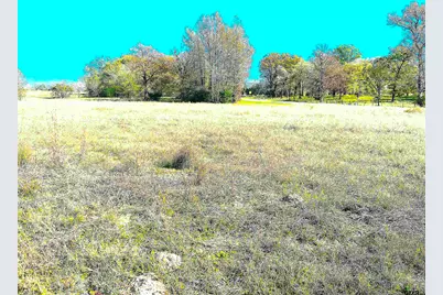 1176 Fm 515, Winnsboro, TX 75494 - Photo 5