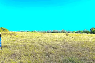 1176 FM 515, Winnsboro, TX 75494 - Photo 1