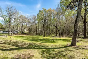126 County Rd 2318, Mineola, TX 75773 - Photo 9