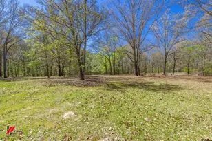 12397 Tranquility Ln, Marshall, TX 75672 - Photo 31