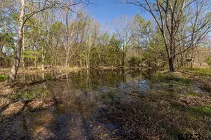 884 Co Rd 2950, Alba, TX 75410 - Photo 25