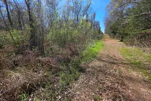 1230 Balmorea Dr, Bullard, TX 75757 - Photo 1