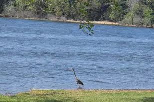 1230 Balmorea Dr, Bullard, TX 75757 - Photo 9