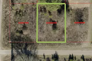 329 Guadalupe St, Bullard, TX 75757 - Photo 1