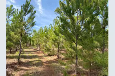 782 Rosie Wady Rd, Gladewater, TX 75647 - Photo 35