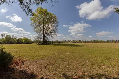 11810 County Rd 3101, Winona, TX 75792 - Photo 5
