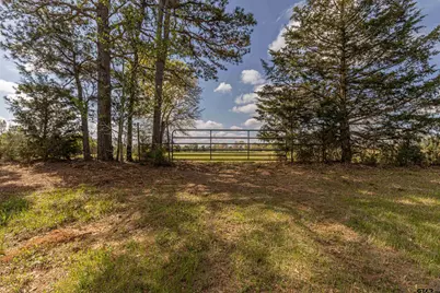 11810 County Rd 3101, Winona, TX 75792 - Photo 7
