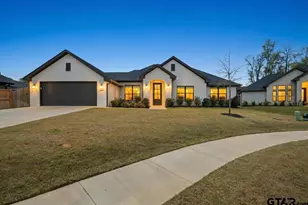 19167 Ambrosia Dr, Flint, TX 75762 - Photo 1