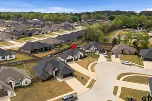 19167 Ambrosia Dr, Flint, TX 75762 - Photo 41