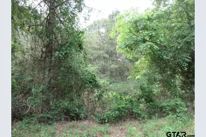 3.54 Ac Cr 352, Palestine, TX 75803 - Photo 7