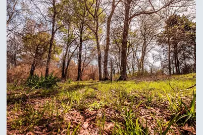 000 County Road 334, Palestine, TX 75803 - Photo 19