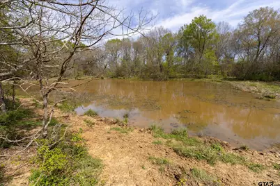 000 County Road 334, Palestine, TX 75803 - Photo 17