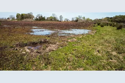 000 County Road 334, Palestine, TX 75803 - Photo 11