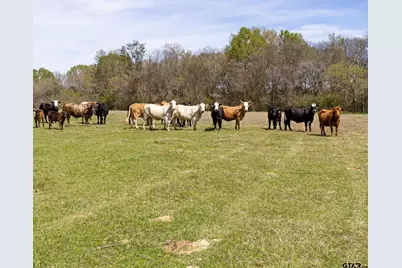 000 County Road 334, Palestine, TX 75803 - Photo 23