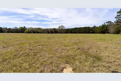 000 County Road 334, Palestine, TX 75803 - Photo 5
