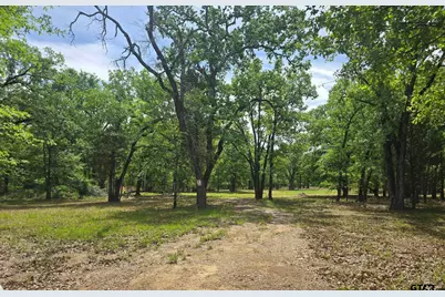 15801 Maple Ln, Malakoff, TX 75148 - Photo 17