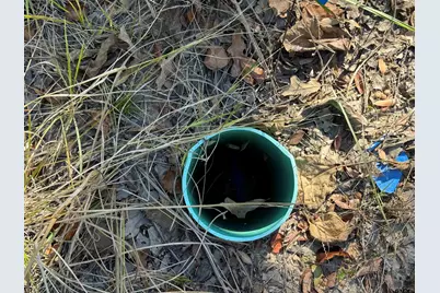 15801 Maple Ln, Malakoff, TX 75148 - Photo 7