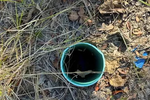 15801 Maple Ln, Malakoff, TX 75148 - Photo 7