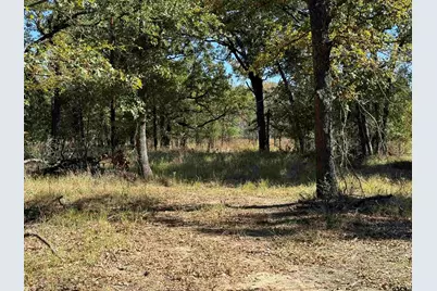 15801 Maple Ln, Malakoff, TX 75148 - Photo 11