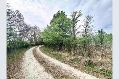 0 Cr 3508, Murchison, TX 75778 - Photo 5