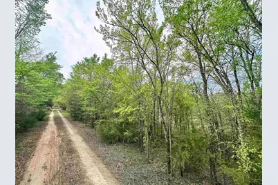 0 Cr 3508, Murchison, TX 75778 - Photo 1