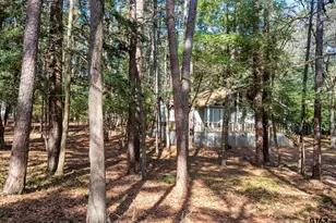 159 Cherrywood Ln, Holly Lake Ranch, TX 75765 - Photo 19