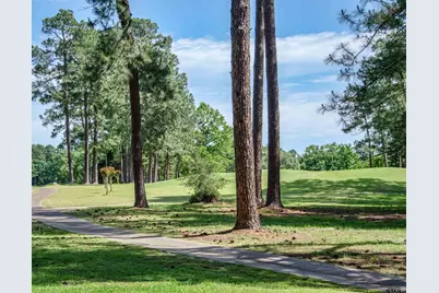 159 Cherrywood Lane, Holly Lake Ranch, TX 75765 - Photo 29