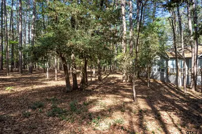 159 Cherrywood Lane, Holly Lake Ranch, TX 75765 - Photo 25