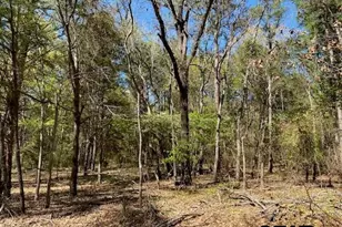 Tbd Armadillo Dr, Murchison, TX 75778 - Photo 1