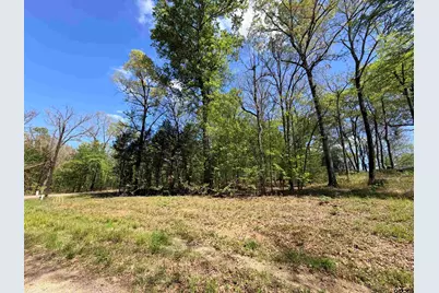 Lot 1&2 Pelican Drive, Winnsboro, TX 75494 - Photo 3