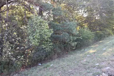 Tbd E Webster Street @ Walcott, Jefferson, TX 75657 - Photo 21