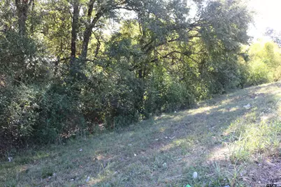 Tbd E Webster Street @ Walcott, Jefferson, TX 75657 - Photo 17