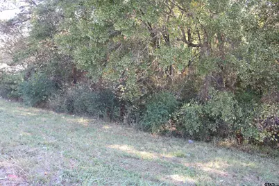 Tbd E Webster Street @ Walcott, Jefferson, TX 75657 - Photo 19