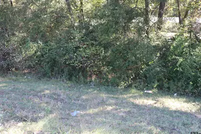 Tbd E Webster Street @ Walcott, Jefferson, TX 75657 - Photo 15