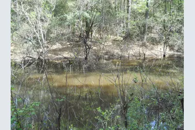 627 Cr 3373, San Augustine, TX 75972 - Photo 3