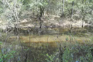 627 Cr 3373, San Augustine, TX 75972 - Photo 3