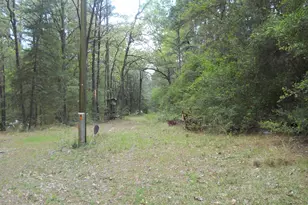 627 Cr 3373, San Augustine, TX 75972 - Photo 11